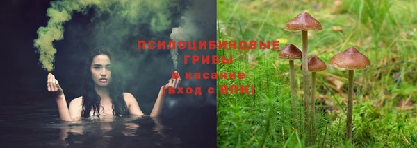 амф Арсеньев