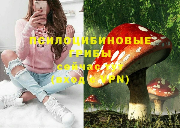 apvp Аркадак