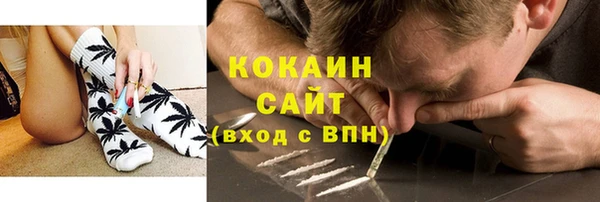 индика Армянск