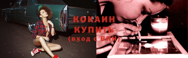 apvp Аркадак