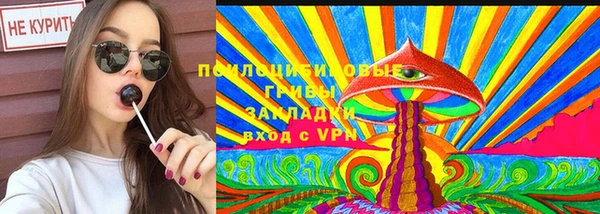 apvp Аркадак