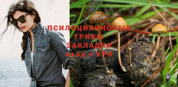 индика Армянск