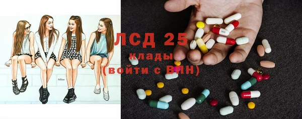 индика Армянск