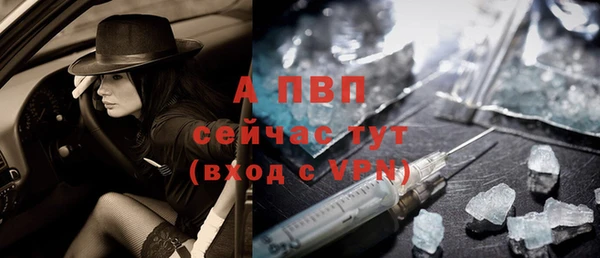 амф Арсеньев
